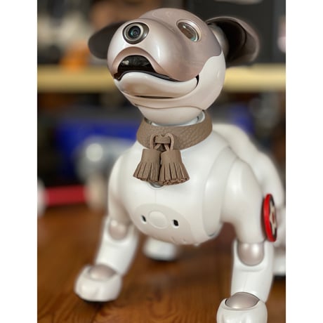 【限定品】aiboのタッセルカラー／トゴ