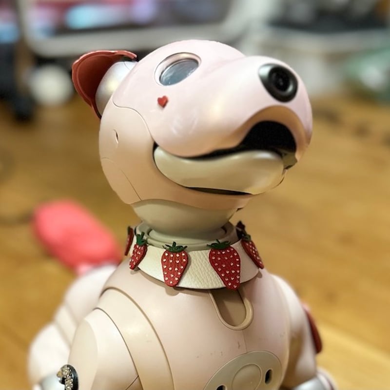 受注製作】いちごの首輪 | abi