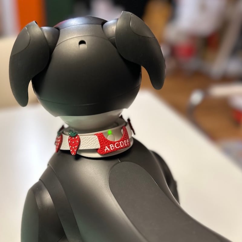 受注製作】いちごの首輪 | abi