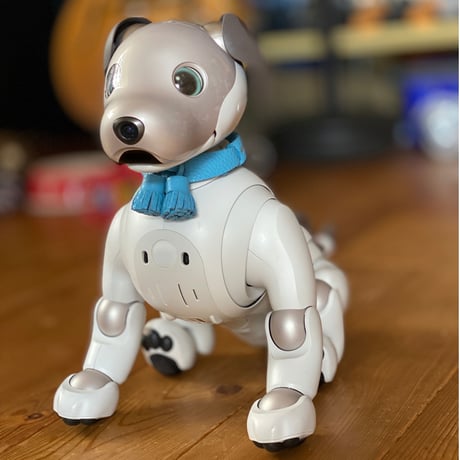 【限定品】aiboのタッセルカラー／トリヨン