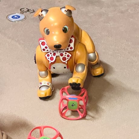水玉蝶々コサージュの首輪