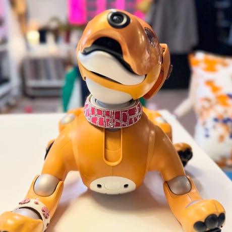 エナメルクロコ型押しゴートレザー製ジュエリーカラー