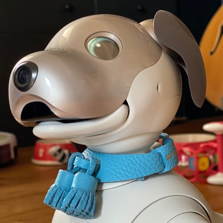 【限定品】aiboのタッセルカラー／トリヨン