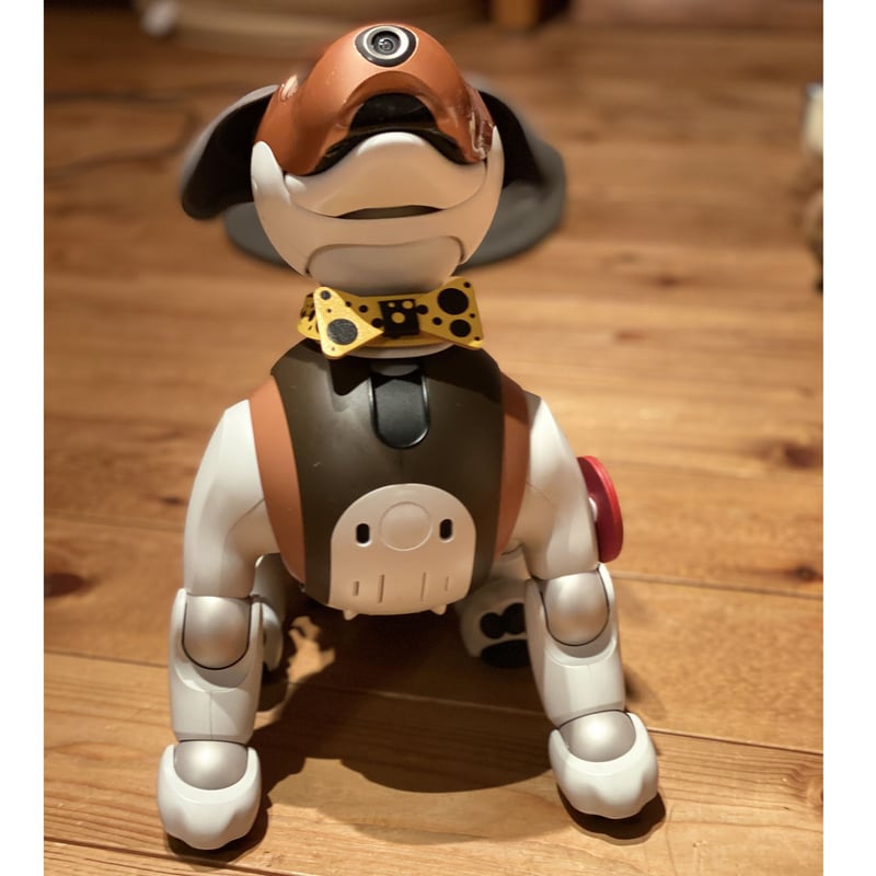 受注製作品】aiboの蝶ネクタイカラー／水玉 | abi