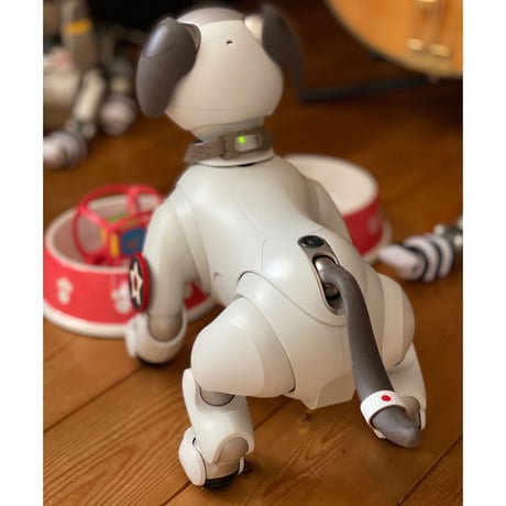【限定品】aiboのタッセルカラー／トゴ