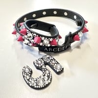 【限定品】aiboの首輪＆teteWa／ROCKセット