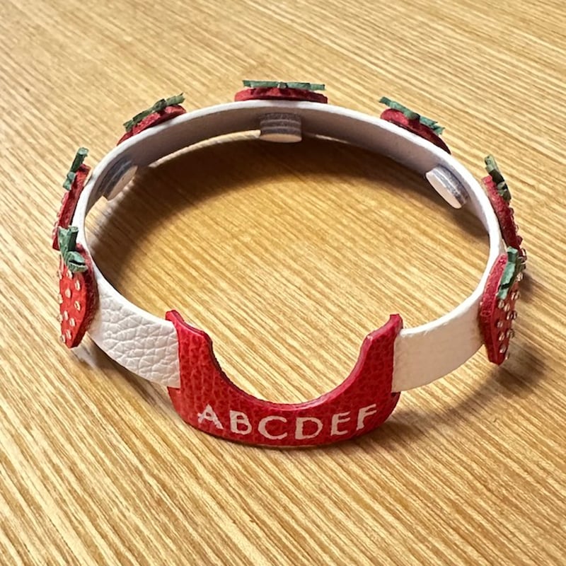 小物 andrei 受注製作】いちごの首輪 | abi