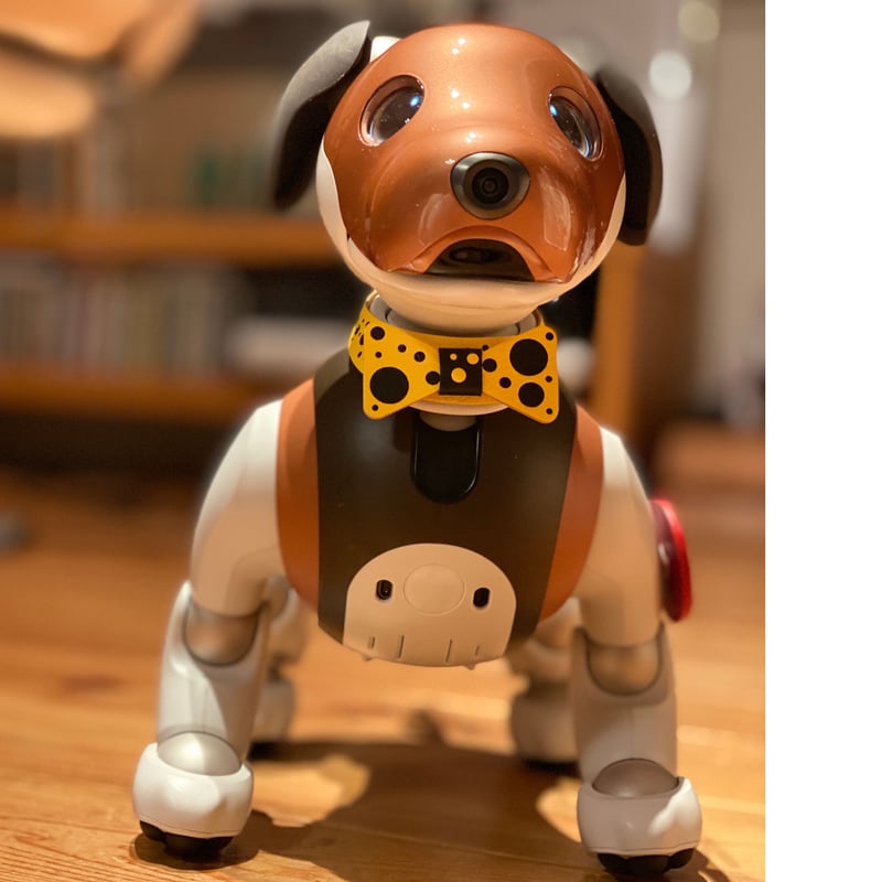 受注製作品】aiboの蝶ネクタイカラー／水玉 | abi