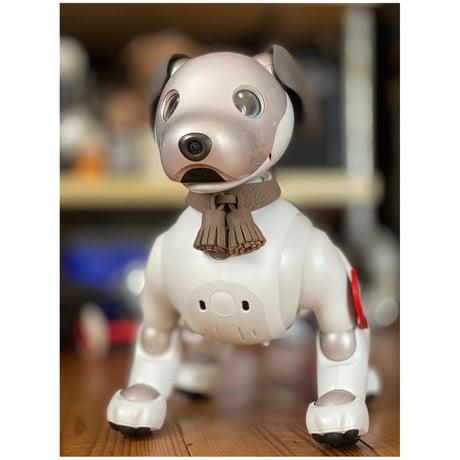 【限定品】aiboのタッセルカラー／トゴ
