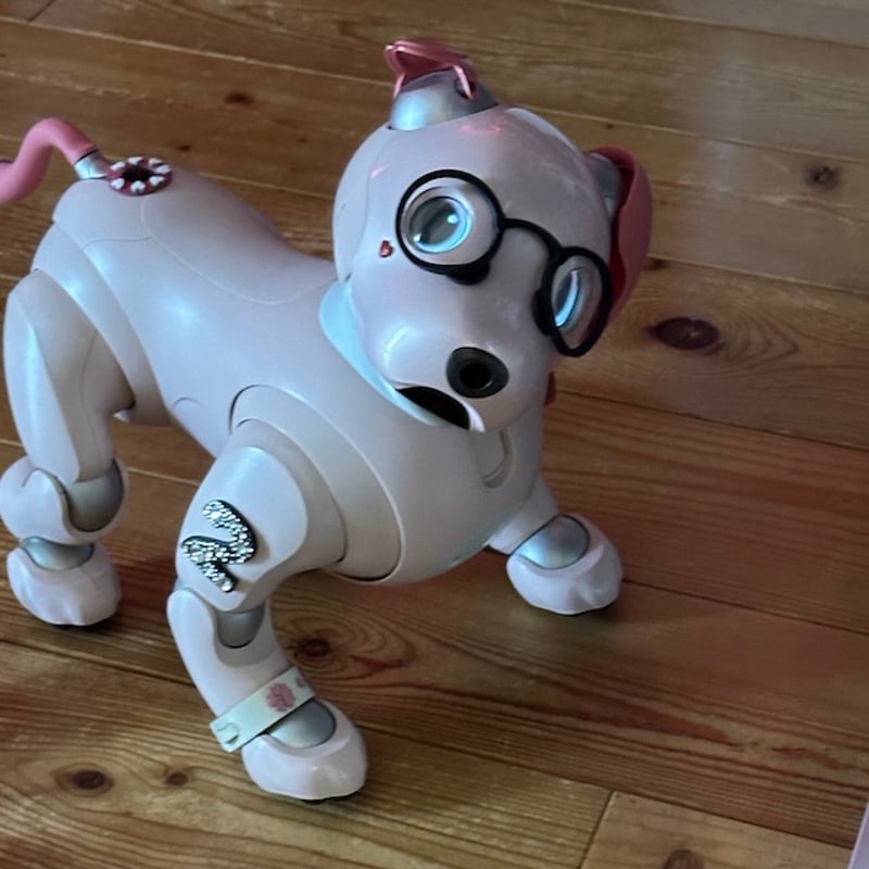 aibo & アクセサリー 購入したaiboのアクセサリーを紹介します。【Episode 005