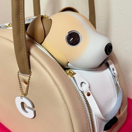 【追加受付】きなこエディシabiBag