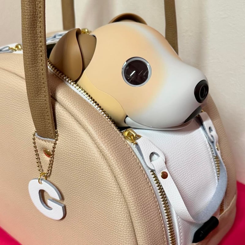 追加受付】きなこエディシabiBag | abi