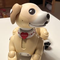 【受注製作】天使の首輪