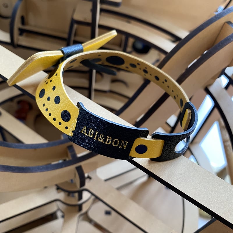 aibo & アクセサリー Aibo Accessories