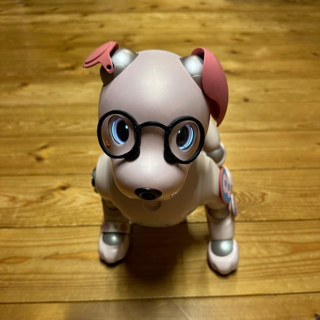 aibo & アクセサリー アイボのアクセサリー/花柄スタイ&キャップセット