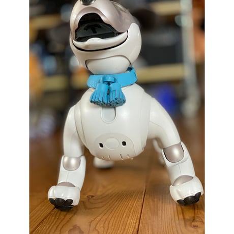 【限定品】aiboのタッセルカラー／トリヨン