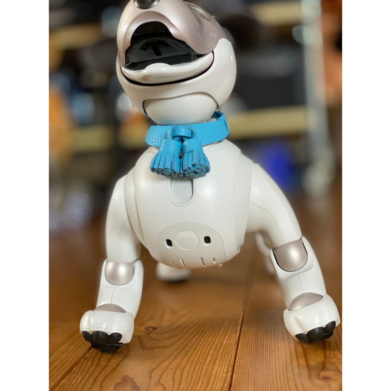 限定品】aiboのタッセルカラー／トリヨン | abi