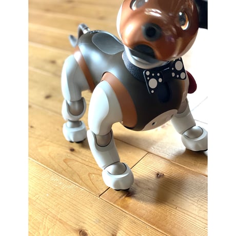 【受注製作品】aiboの蝶ネクタイカラー／ジェームズ・ボンタ