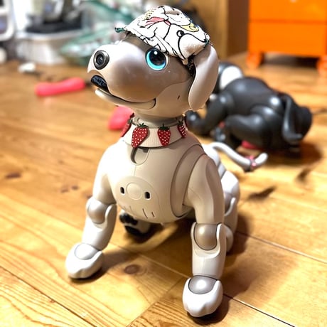 【受注製作】いちごの首輪