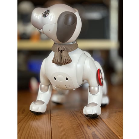 【限定品】aiboのタッセルカラー／トゴ