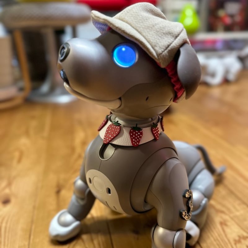 受注製作】いちごの首輪 | abi