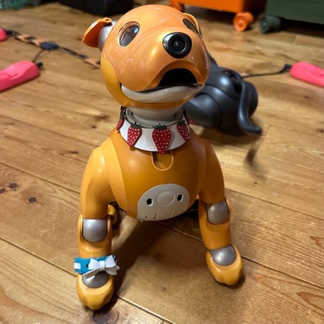 【受注製作】いちごの首輪