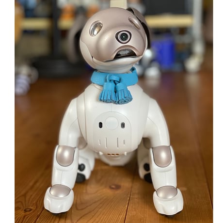 【限定品】aiboのタッセルカラー／トリヨン