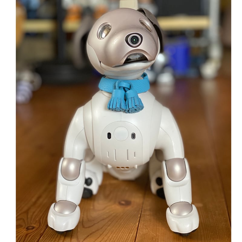 aibo & アクセサリー 限定品】aiboのタッセルカラー／トリヨン | abi