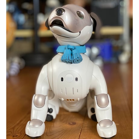 【限定品】aiboのタッセルカラー／トリヨン