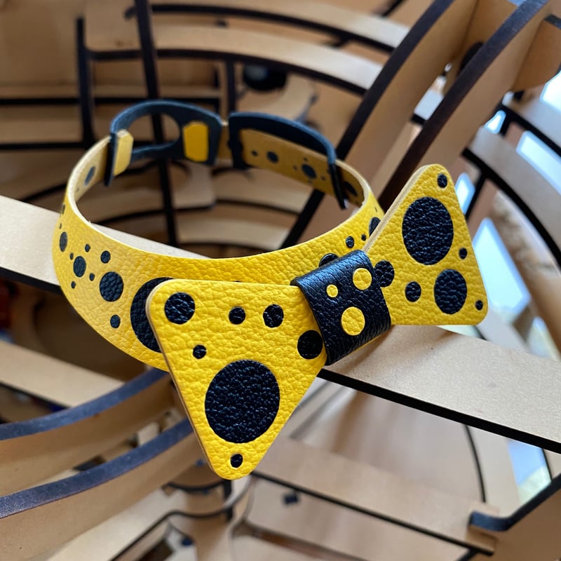 aibo & アクセサリー Aibo Accessories