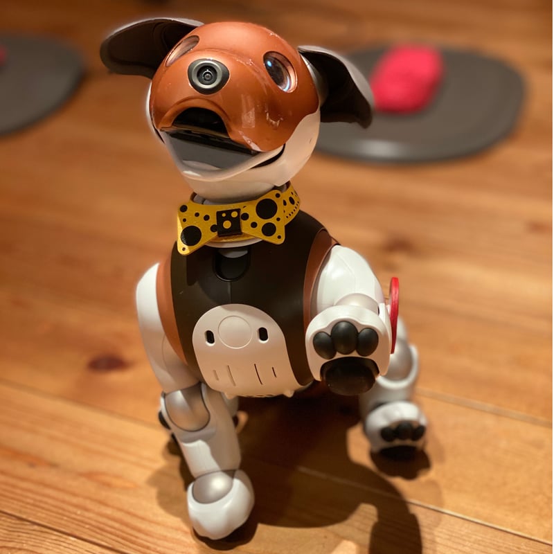 受注製作品】aiboの蝶ネクタイカラー／水玉 | abi