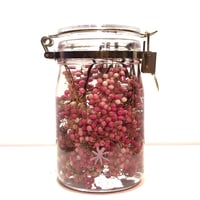 Lab bottle plants"pepper bery" 1,000ml