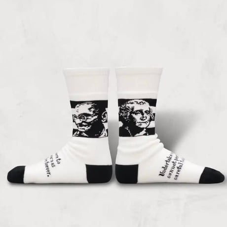 decka quality socks "showatabe by BLU NA BOINNE"pile socks/wisdom