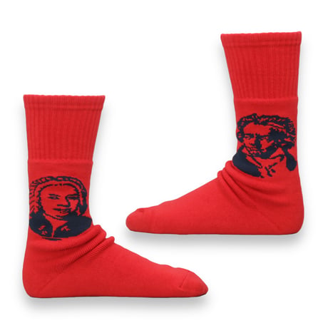 decka quality socks "BRU NA BOINNE × decka quality socks" pile socks/composer