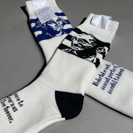 decka quality socks "showatabe by BLU NA BOINNE"pile socks/wisdom
