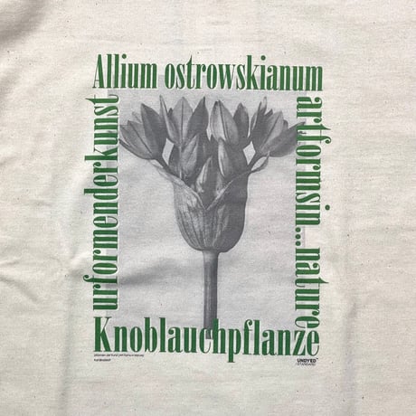 UNDYED 30/2 print-T "ALLIUM" (unisex)RW