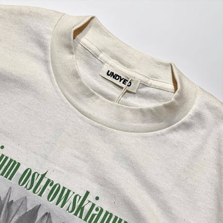 UNDYED 30/2 print-T "ALLIUM" (unisex)RW