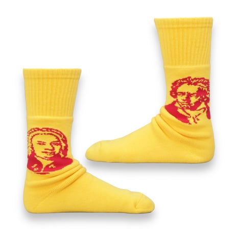 decka quality socks "BRU NA BOINNE × decka quality socks" pile socks/composer