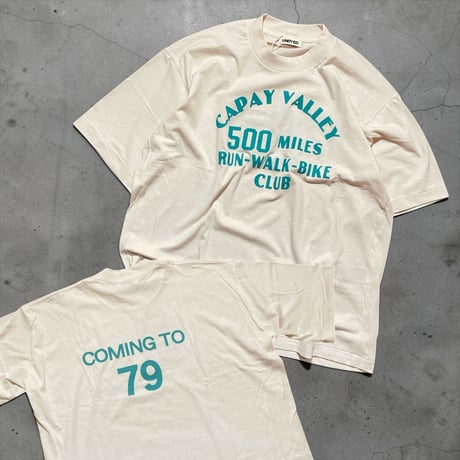UNDYED 30/PV print-T "capay valley" (unisex)RW