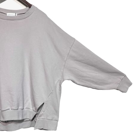 CAERULA PER LIGHTS"Crew Sweat"(gray)unisex