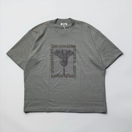 UNDYED 30/2 Karl Blossfeldt Print-T "ALLIUM" (unisex)KH