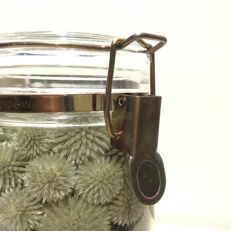 Lab bottle plants"echinops" 1,000ml