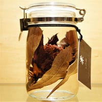 Lab bottle plants"waratha" 1,000ml
