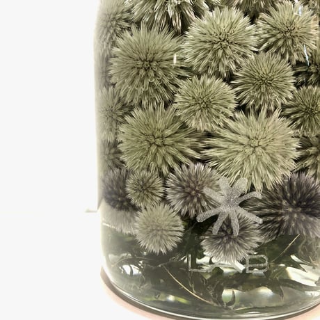 Lab bottle plants"echinops" 1,000ml