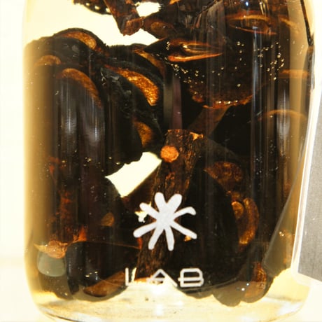 Lab bottle plants"Banksia" 1,000ml