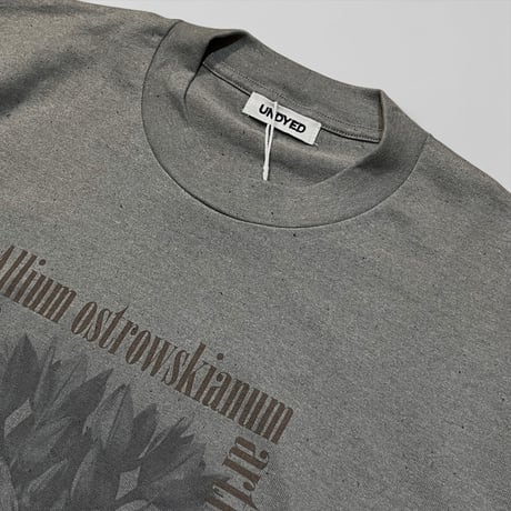 UNDYED 30/2 Karl Blossfeldt Print-T "ALLIUM" (unisex)KH