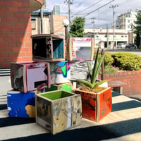 THE SKATE PLANTER  (S)