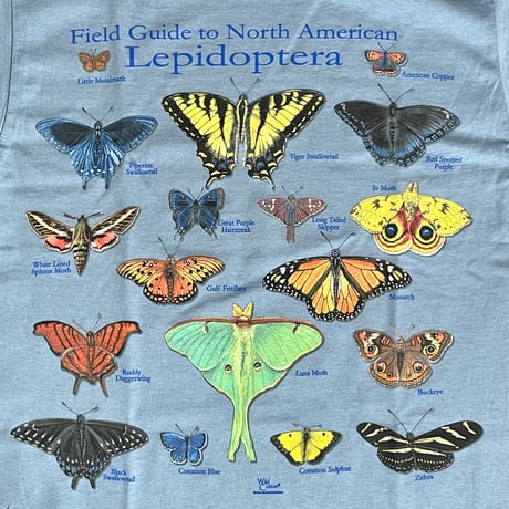Atlas Screen Printing U.S.A "wild cotton Tee" (unisex)