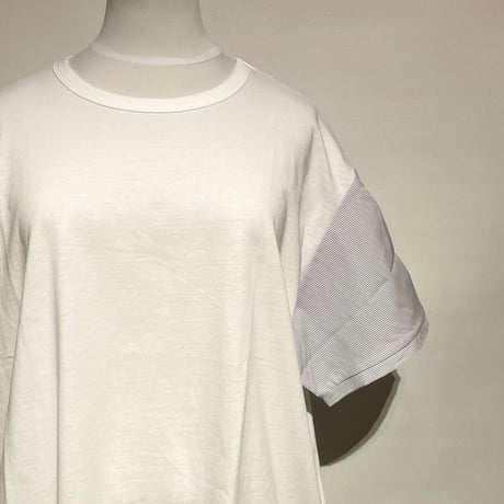 CAERULA"30 single jersey × broad plo T"(white×stripe) women's