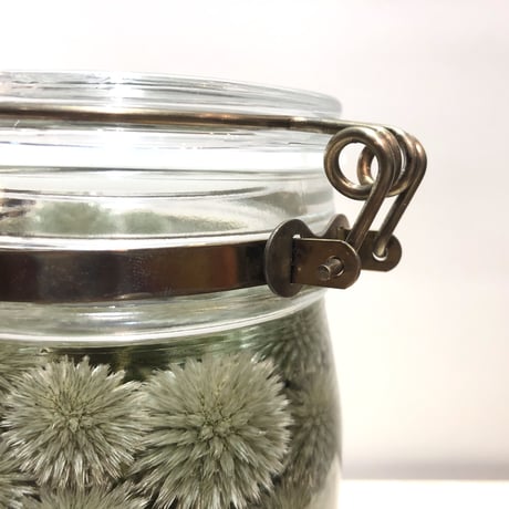 Lab bottle plants"echinops" 1,000ml